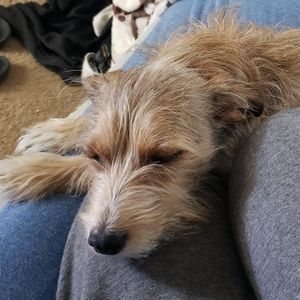 Meet your Posher, Kayleigh